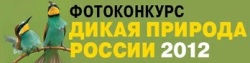 konkurs-fotografij-dikaya-priroda-rossii-2012