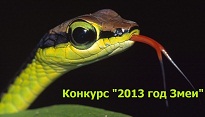 Конкурс «2013 год змеи»