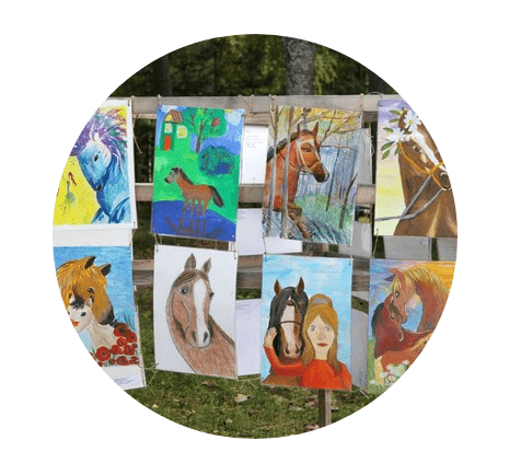 Открытый конкурс детско-юношеского творчества «Штрихи к портрету лошади»