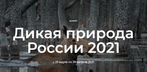Конкурс «Дикая природа России 2021»