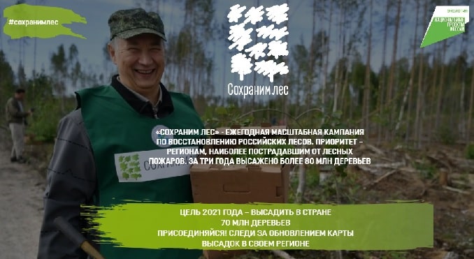 Ежегодная масштабная кампания по восстановлению российских лесов «СОХРАНИМ ЛЕС»