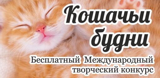 II Международный творческий конкурс «Кошачьи будни» ко Всемирному дню кошек
